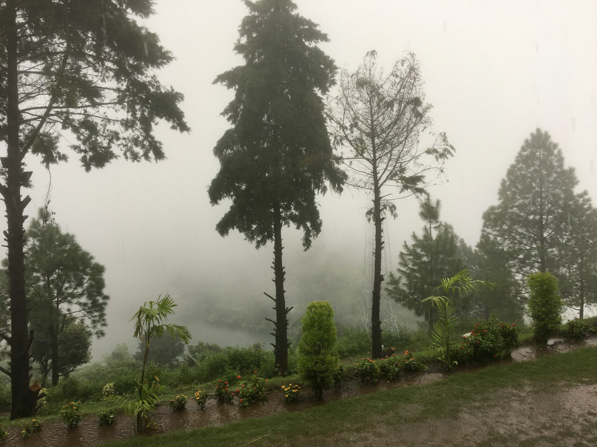 Nainital Adventure Park & Resort Экстерьер фото